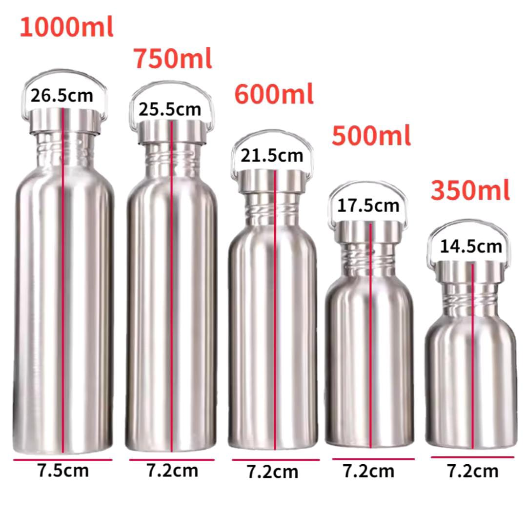 Stainless Steel Water Bottle